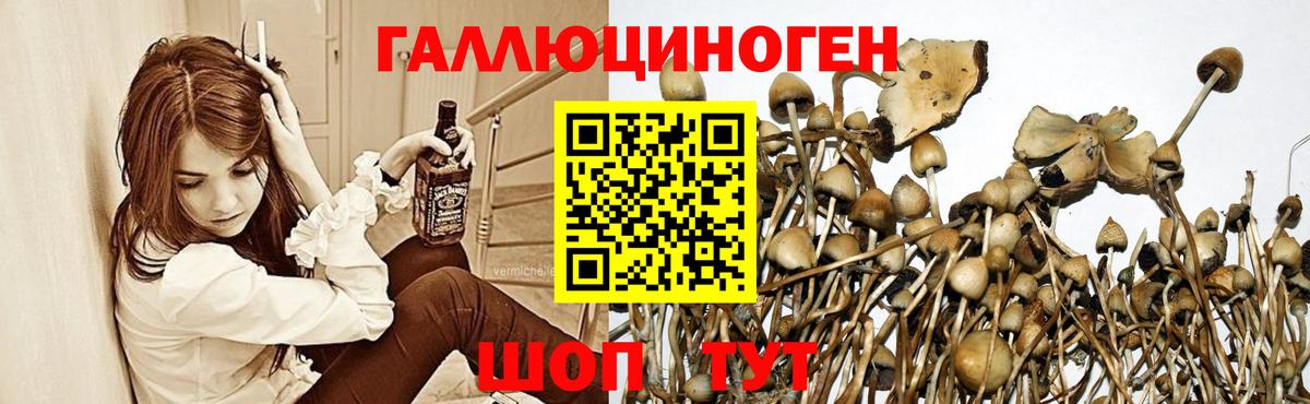 Псилоцибиновые грибы мухоморы Сунжа